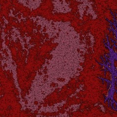 Klipsnot: DONK & BLEED