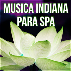 Musica Indiana para Spa