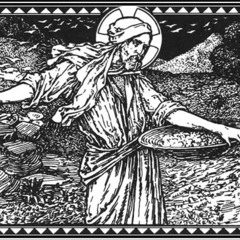 20230212 - A sower went out to sow