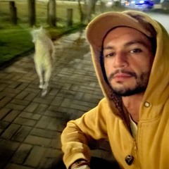 Alpha Dog Yorkshire 🐶