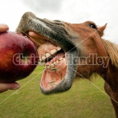 horseapples
