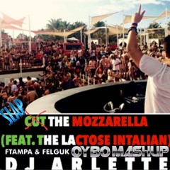 Cut The Mozzarella Vs. SLAP (SLAP THE MOZZARELLA)-(OYBO MASHUP)