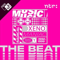 The Beat Mix: Music for the Radical Xenomaniac