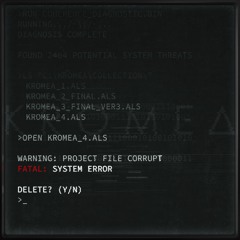 System Error