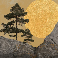 Granite Pines