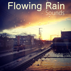 River Rain : Natural Sound