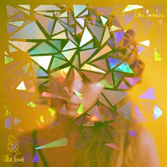 LT070 // Elsa Hewitt - Citrus Paradisi LP