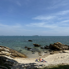 Bless The Telephone (Cover)