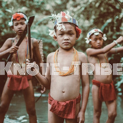Tribe