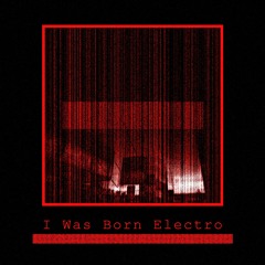Djarmee - I Was Born Electro (Fille de Minuit Remix)
