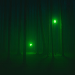 The green light