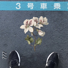 Where Are You By Kei Yamagishi Where Are You By Kei Yamagishi