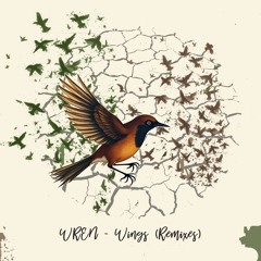 WREN feat. Amadou Suso - Wings