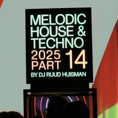 Melodic House and Techno Mix 2025 14