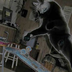 ghostlyskatercats