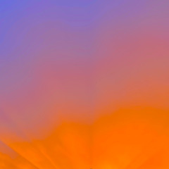 bloom_together-closing@kauz