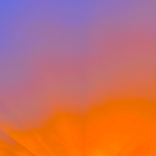bloom_together-closing@kauz