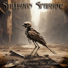 IF YOU WANNA GO HOME