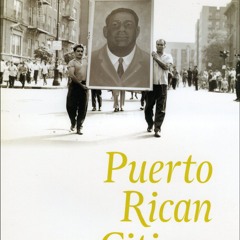 [PDF⚡READ❤ONLINE]  Puerto Rican Citizen: History and Political Identity in Twent