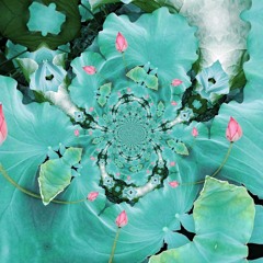 Lotus Bud