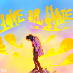 love or hate song ft DK