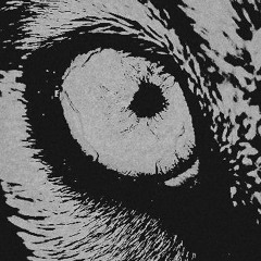 Chain-like Hope (feat. Mary Sue)