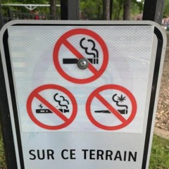 MinegraMidoña (Freestyle)