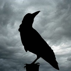 Ominous Birds DeadSundews Feat KyfKyf