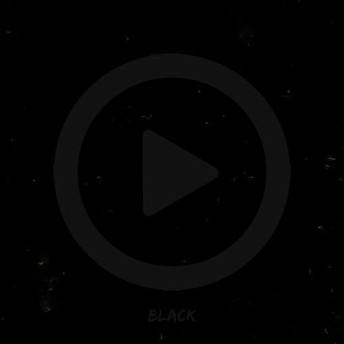 Vibes Only Black