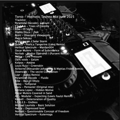 Torso - Hypnotic Techno Mix June 2025