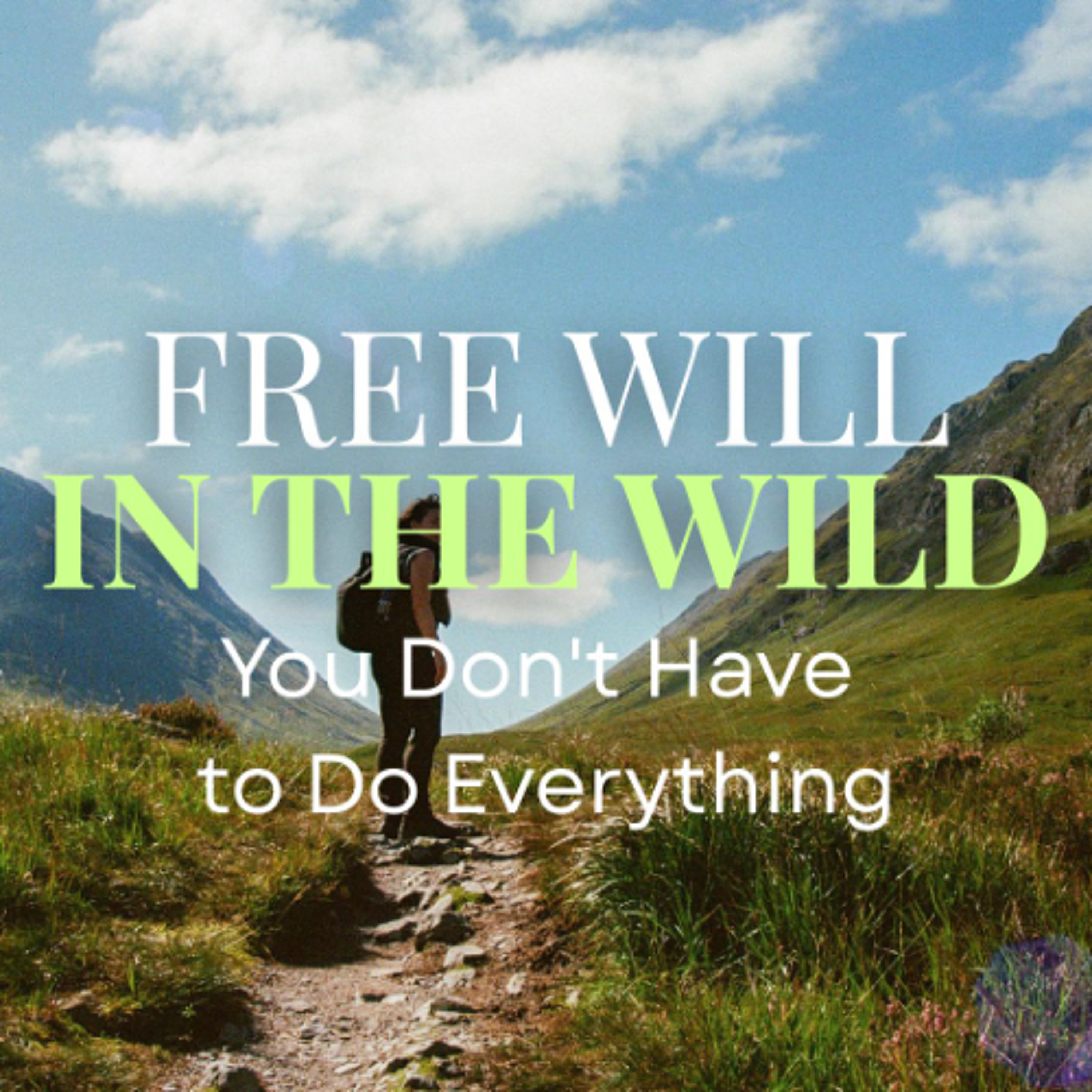 Free Will In the Wild: You Don't Have To Do Everything episode artwork