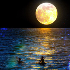 DontRun4rmMe (ft. Zoda*)