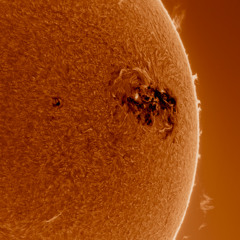 Damne & Nicko Shuo - Dark Forest [MindTrip]