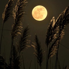 Becoming Limitless ~ Full Moon September 2020