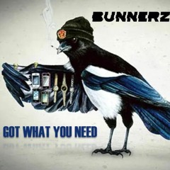 Bunnerz - Got What You Need (Free Download)