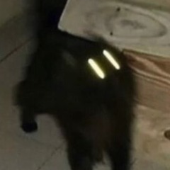 where the fuck is my mind