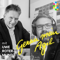 Genau Mein Agil Podcast - #02 Agilität als unternehmerische Haltung