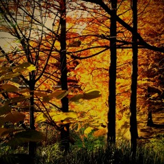 September - David Sylvian cover (by TiN-UNiT)(Audience Recording)