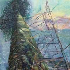 #904_Landscape and Ecologies