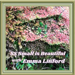 SS Small Is Beautiful ~ Episode #6 ~ w/ Emma Linford