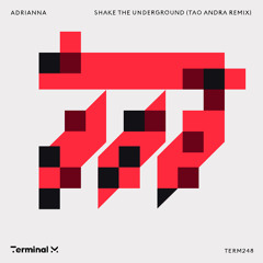Premiere: ADRIANNA - Shake The Underground (Tao Andra Remix) | Terminal M