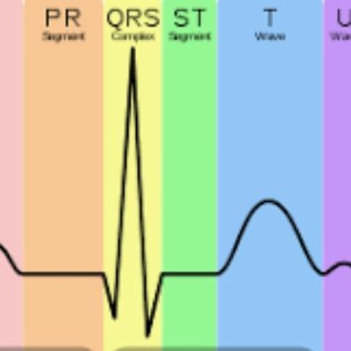 Electrolyte Effect On The ECG
