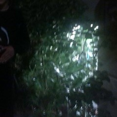 404LOST - BE YOUR OWN LIGHT