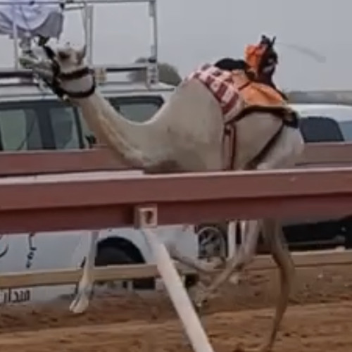 ‎⁨مسفر السندوانه - مهداة إلى السفير محمد بن كردي المنخس (حصرياً)  2023⁩.m4a