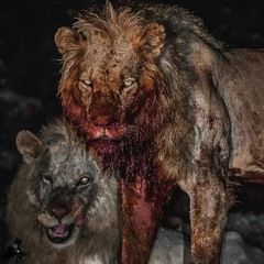 cvrtoon_-_izmir_marşi_(slow_+_reverb)⚔️👑