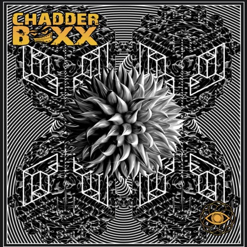 Chadderboxx - Sorry Wrong Number