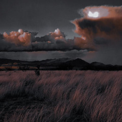 дурак и молния(tiktok,slowed)