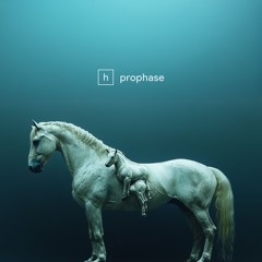 Horse & Pony - Prophase