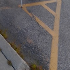 Tripp - rotten stain (beatby-bl2rhy)