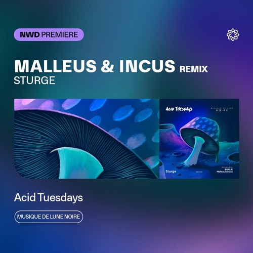 NWD PREMIERE | Sturge - Acid Tuesdays (Malleus & Incus Remix) [Musique De Lune Noire]